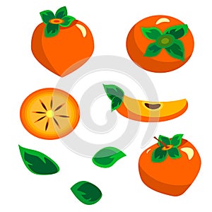 Set with persimmon. Vector illustration. In flat style