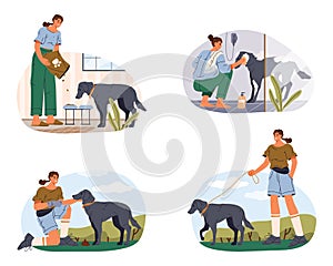 Set of pet care sign or dog caring vector clipart photo