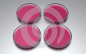 Set of petri dishes