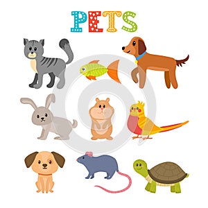 Set of pets. Cute home animals in cartoon style