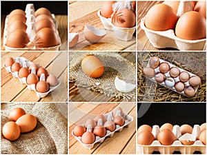 Set of photos with chicken brown eggs in packing