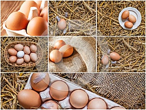 Set of photos with chicken brown eggs in packing.