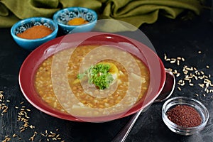 Vegan Brown Lentil Stew with Spices