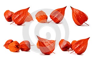 Set of Physalis fruit. Isolated on a white background