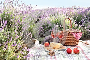 Set for picnic on blanket in field