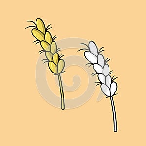 Set of picture, ripe ear, rye cereals, vector cartoon illustration