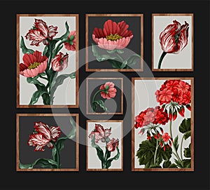 Set of pictures with different botanicals flowers. Vector.