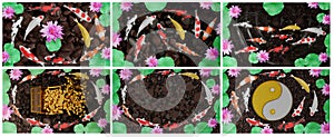 Set of pictures of koi fish or fancy koi swimming in pond or river with pink lotus. There is a round stone. Suitable for feng shui