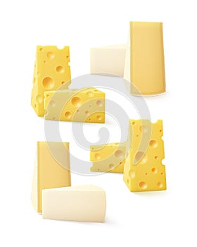 Set of Pieces Cheese Swiss Bri Camembert