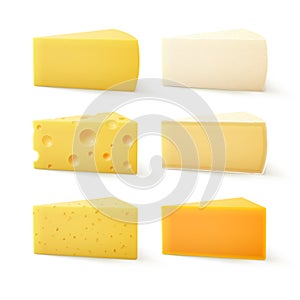 Set of Pieces Cheese Swiss Cheddar Bri Parmesan Camembert