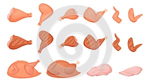 A set of pieces of raw chicken meat. Chicken leg, wing, breast fillet, drumstick, whole peeled chicken. Fresh raw and