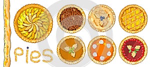 Set of pies with different toppings. Vector illustration isolated on white