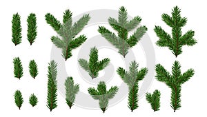 Set of Pine fir green branches. Spruce branches realistic. Christmas tree Set isolated on white background. Decorative