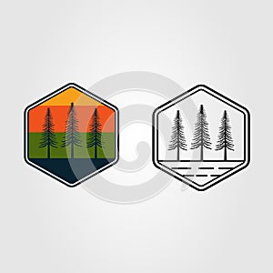 set pine tree or spruce logo vector illustration design