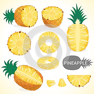 Set of pineapple fruit in various styles vector format