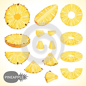 Set of pineapple in various styles vector format