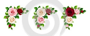 Set of pink, burgundy and white roses corners. Vector illustration.