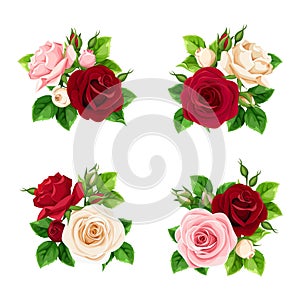 Set of pink, burgundy and white roses. Vector illustration.