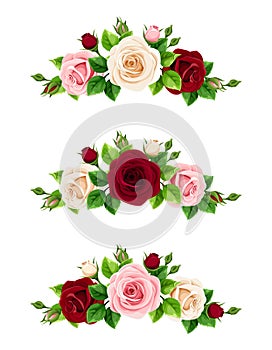 Set of pink, burgundy and white roses. Vector illustration.