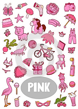 Set of pink color objects. Visual dictionary for children about the basic colors
