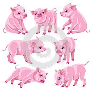 Set of Pink Micro Pigs in Moving