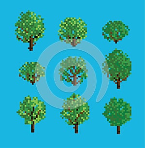 Set of Pixel Trees