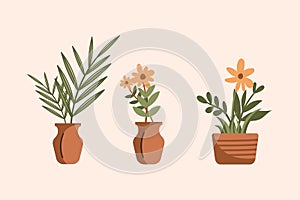 Set of plant abstract aesthetic with pot, vase, Urban plant, pottery plant, boho style plant color vector plants illustration