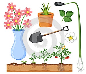 Set of plant and gardening tools and equipment