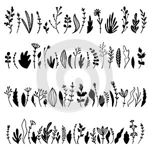 Set of plants and herbs. Black and white flat vector illustration