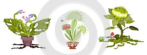 set of plants for the holiday of halloween monster