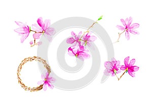 Set of plum flowers,twigs and wreath. Watercolor illustration isolated on white background