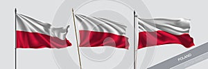 Set of Poland waving flag on isolated background vector illustration