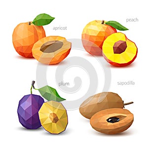 Set of polygonal fruit - apricot, peach, plum, sapodilla. Vector