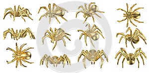 Set of polygonal tarantulas