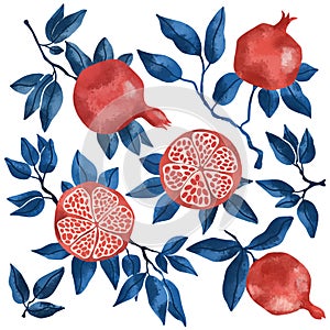 Set of pomegranate fruits and seeds illustration on white background. Jpeg in high resolution for floral design