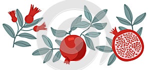 Set of pomegranate fruits and seeds illustration on white background. Jpeg in high resolution for floral design