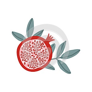 Set of pomegranate fruits and seeds illustration on white background. Jpeg in high resolution for floral design