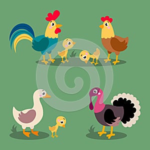 Set of popular colorful vector farm birds