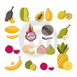 Set of popular exotic fruits. Tropical flavors of summer