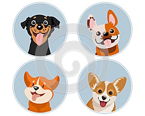 Set of portraits of cute dogs, pinscher, corgi, bulldog. Domestic animals illustration vector