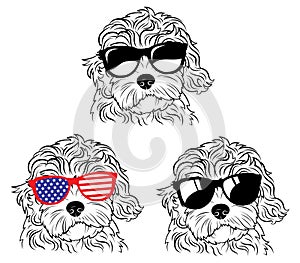 Set of portraits of dogs in glasses. A collection of vector heads of dogs of the breed of the breed Goldendoodle. Black