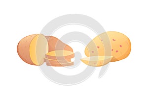 Set Potatoes vector illustration. Isolated potato on white background.