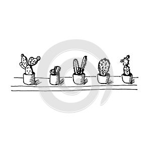 Set of potted cacti on shelf. Isolated sketch on white background