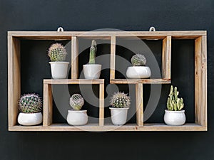 Set of Potted Cacti on Wooden Shelf Against Dark Wall
