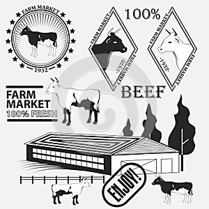 Set of premium beef labels, badges and design elements.