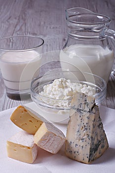 Set of products brie, blue cheese, cottage cheese