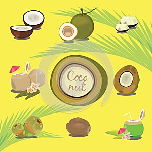 Set of Products of Coconut Tropical Fruit Description