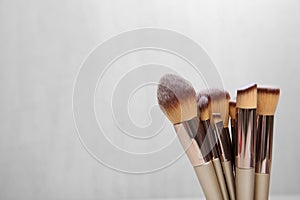 Set of professional makeup brushes against light background