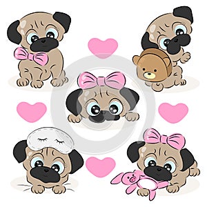 Set of pug puppies in different poses, Cute dog in different costumes, wrinkled muzzle, pet