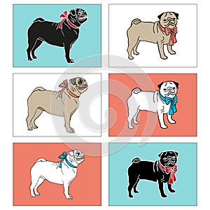 Set of pugs. Vector illustration. EPS,JPG.